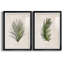 Palm Botanical I - ensemble de 2 impressions-1280205393-1280204983-1211584034