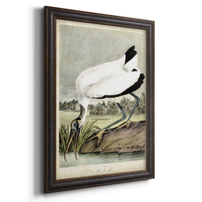 Zayd " Wood Ibis ", 20" H x 16" W x 2.5" D