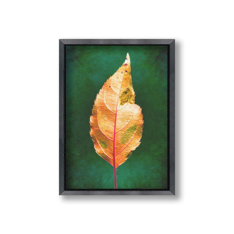 Portrait d'une feuille d'automne par Hal Halli. Impression sur papier - Montée et encadrée, H 34 po x l 44 po