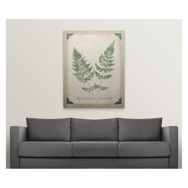 «Vintage Ferns VII», impression, H 48 po x l 38 po x P 1,5 po, Toile