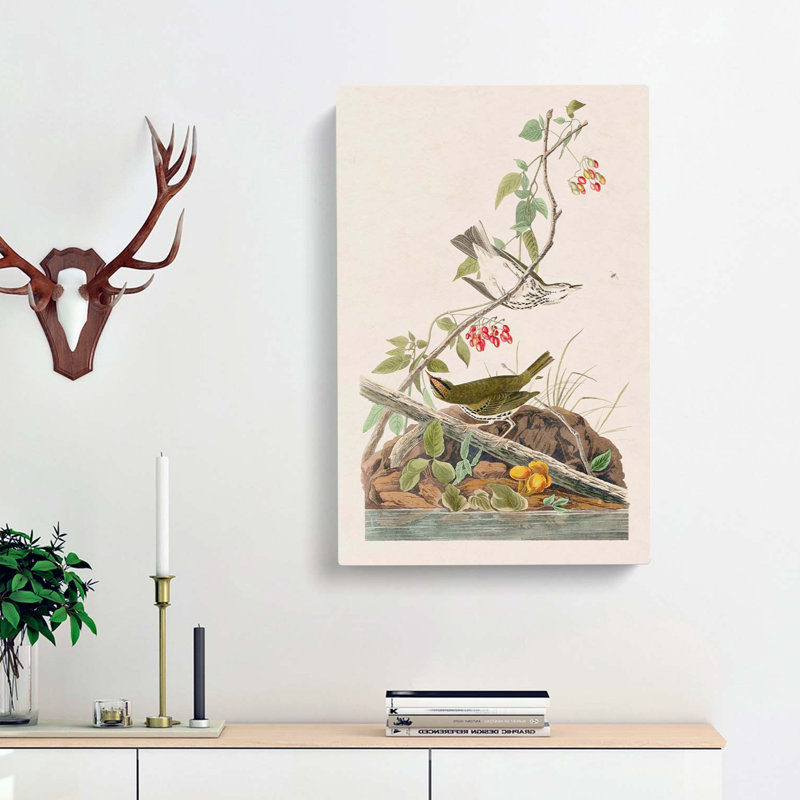 Golden-Crowned Thrush - Wrapped Canvas Painting, 60cm H x 40cm W x 3cm D