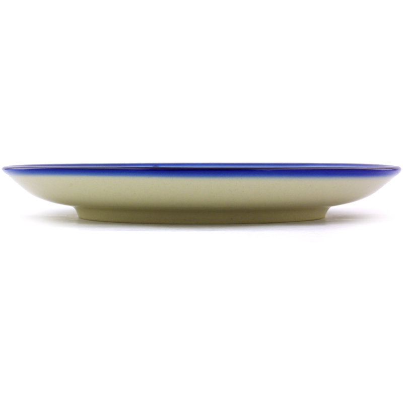 Stoneware Salad/Dessert Plate