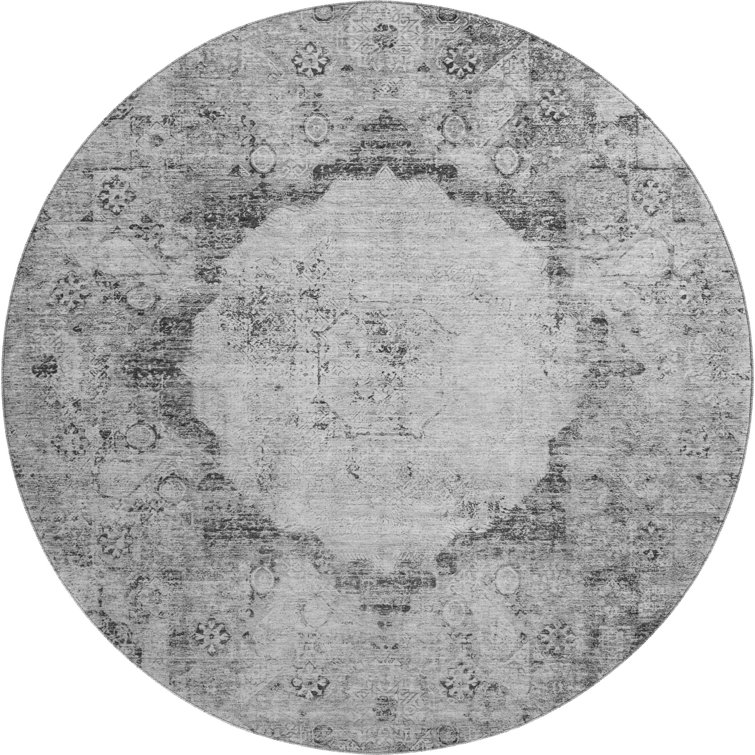 Premium Machine Washable Prisco Gray Rug