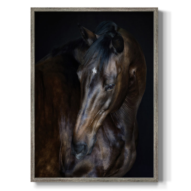 Sunlit Horses I Framed Print - Solid Wood, 11" H x 9" W