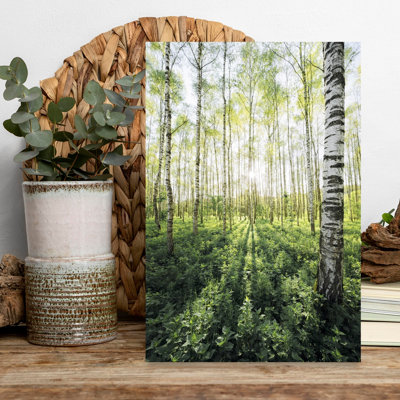 Impression d'art mural Birch Grove