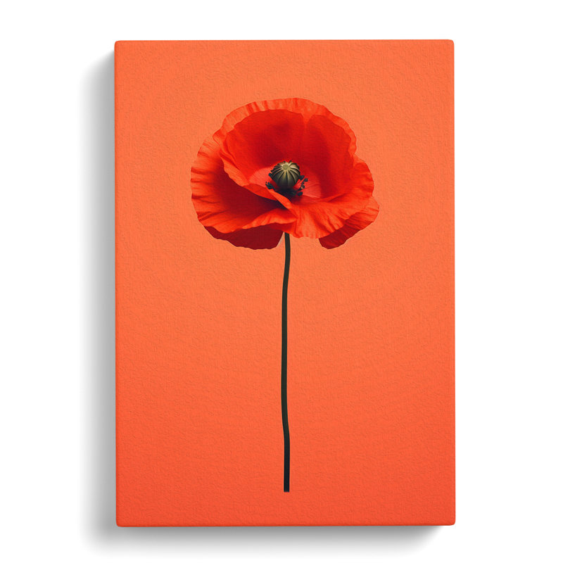 Poppy Flower Minimalism - Wrapped Canvas, 50cm H x 35cm W x 3cm D