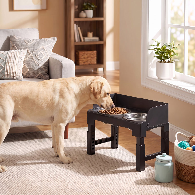 Bols pour chien surélevés, support réglable avec alimentation lente et garde-éclaboussures, 17,2 x 9,9 x 14,9 pouces, noir