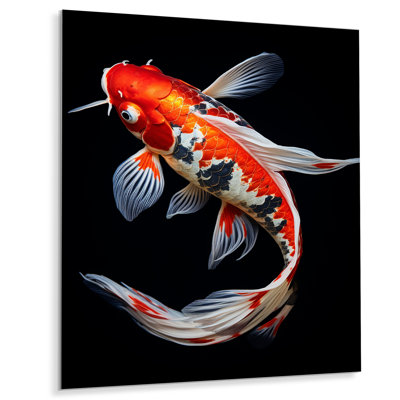 " Coral Kois Fish Vibrant Splendor II "