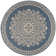 Burnell 100 Performance Oriental Indoor/Outdoor Area Rug