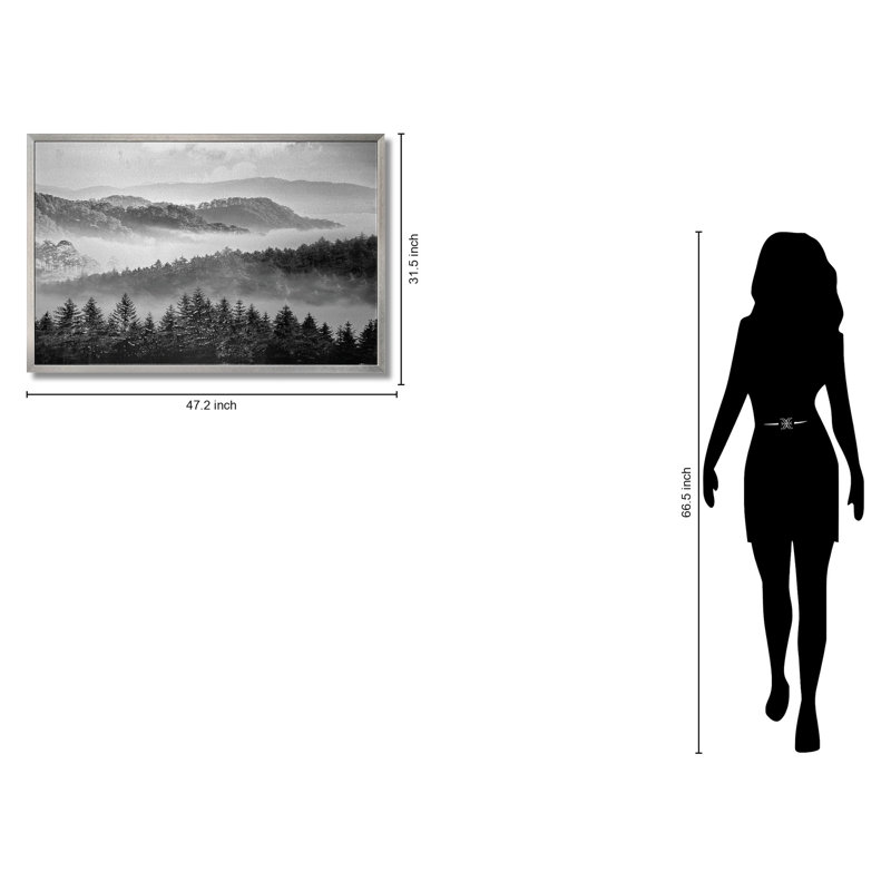 Art mural noir et blanc «Misty Forest» en aluminium - 32 po x 47 po - cadre argenté
