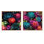 Bourrache - Ensemble de 2 collages botaniques carrés-101845603-101845601