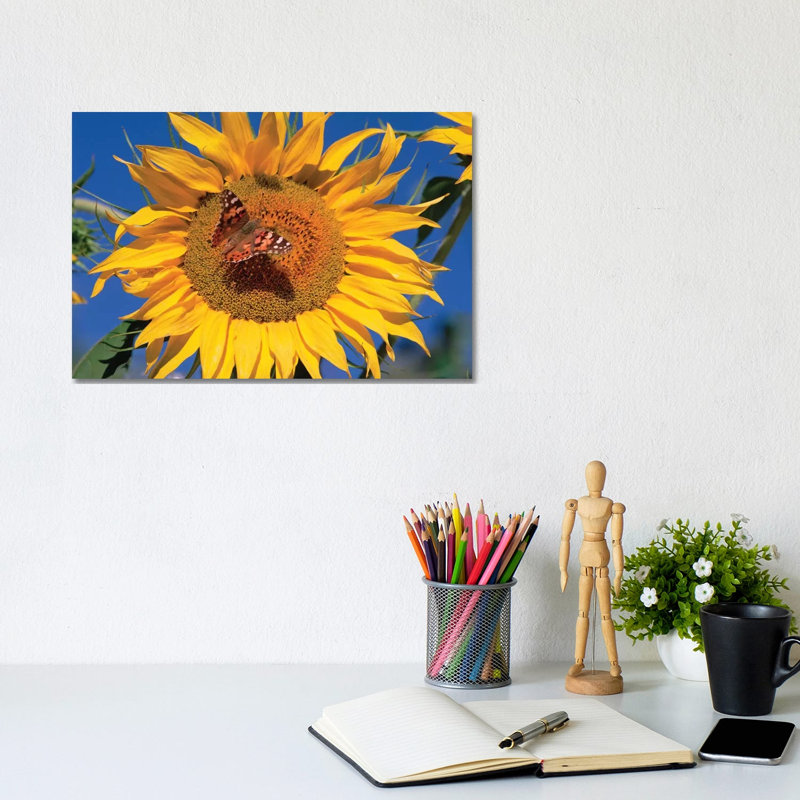 Painted Lady Butterfly On Sunflower, New Mexico by Tim Fitzharris - No Frame Gallery-Wrapped Canvas Giclée on Canvas