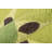 Cucina Floral Synthetic Kitchen Mat