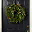 24" Polyethylene (PE) Wreath-1643036720