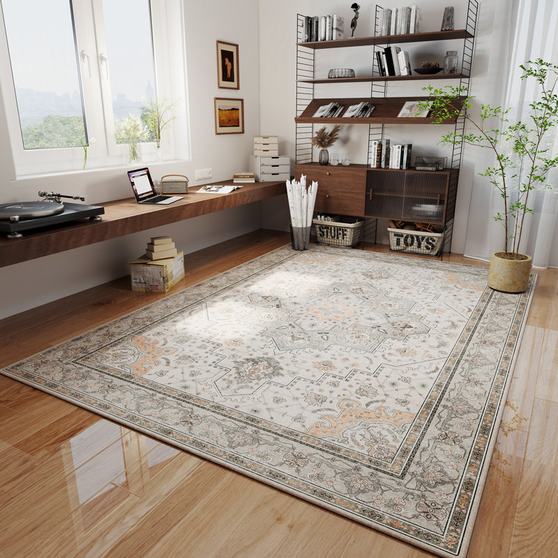 Living Room Rug 4x6 ft Grey and Brown Area Rug Machine Washable Rug, Non Slip Vintage Rug Stain Resistant Indoor Large Carpet for Bedroom, Boho Rug, Distressed Retro Floor Rug for Classroom, Dorm, Dining Room