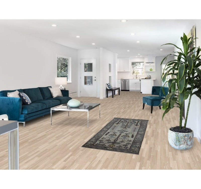 Tapis indien en laine fait à la main Oushak 3 x 6