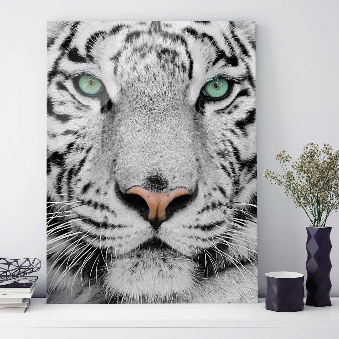 Glasbild White Tiger