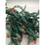 70 LED Light String-1189723224