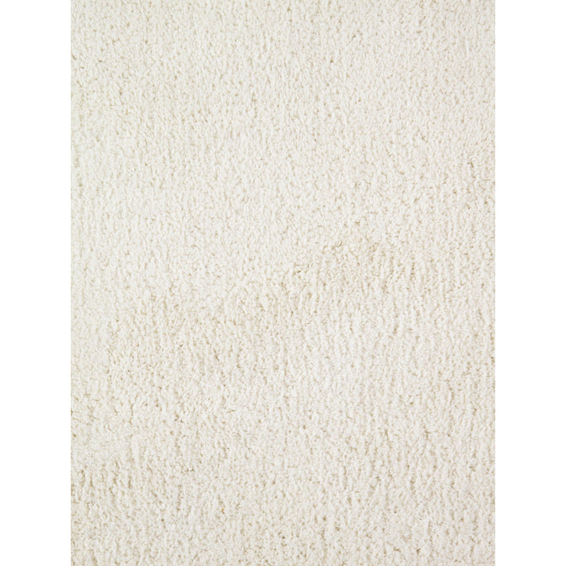 Hand Tufted Indoor Rug