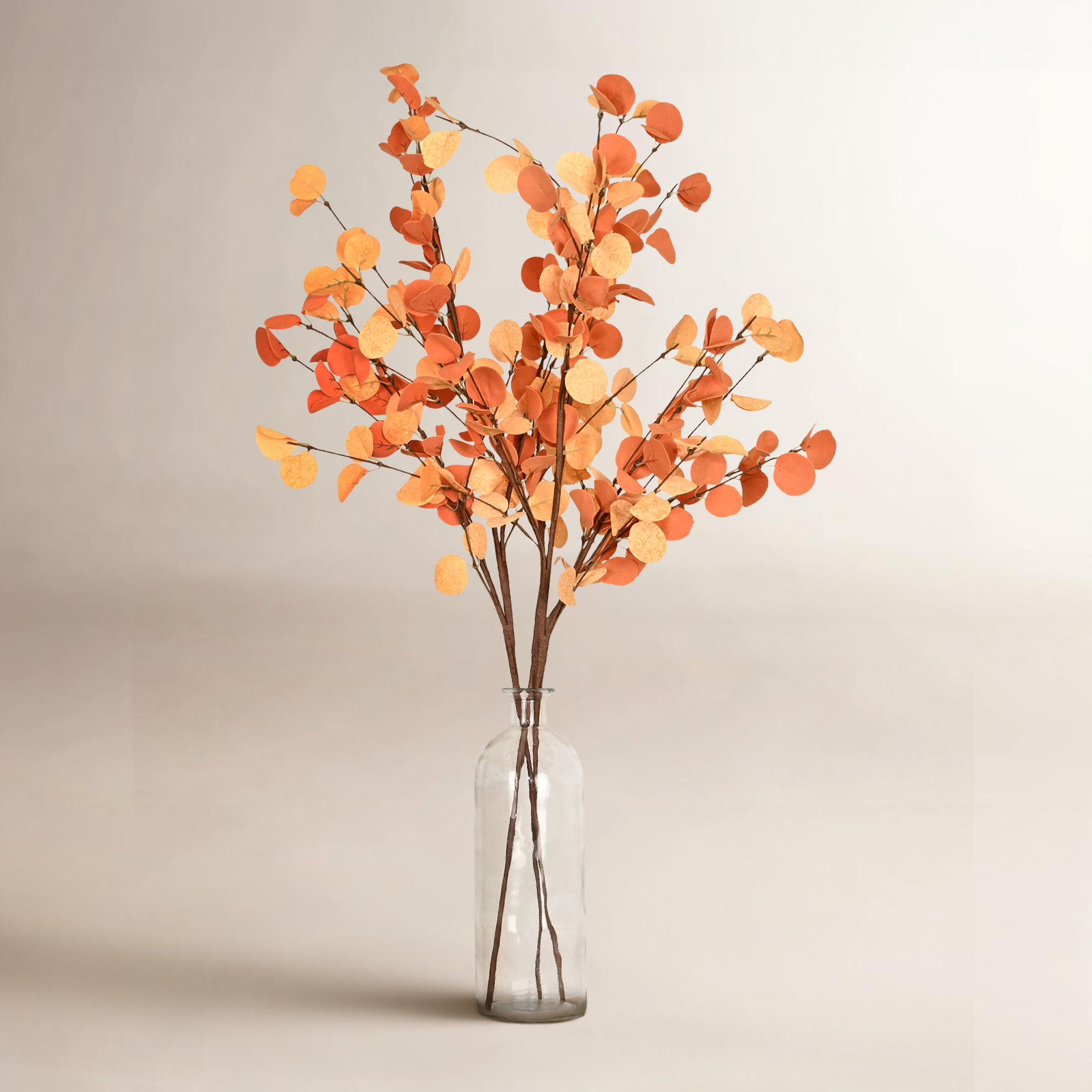 Eucalyptus Floral Stems, Orange