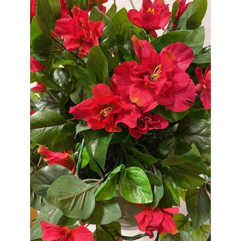Panier à fleurs en géranium Azalea