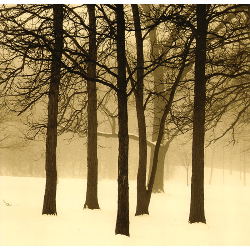 Palos Park, 20" H x 21" W