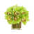 Green selected