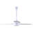 Doyle 3 - Blade Propeller Ceiling Fan-404105189-484580213