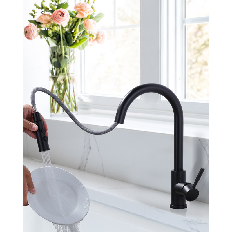 Robinet de cuisine Aleasha, Noir mat