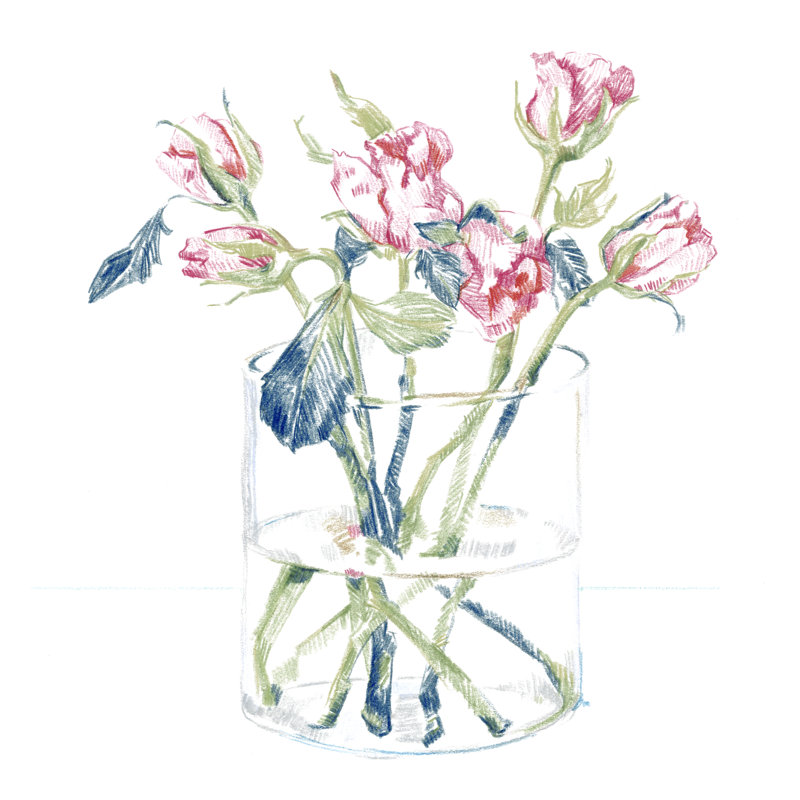 Hockney Roses I, H 12 po x l 12 po