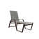 Holna Outdoor Rust-Resistant Metal Chaise Lounge