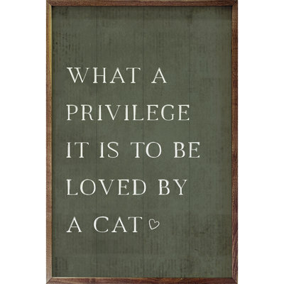 What A Privilege Cat