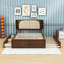 Grand lit avec tiroirs de rangement et gigogne gigogne simple TG-2124110993