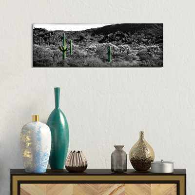 " Saguaro Cactus (Carnegiea Gigantea) in a Field, Sonoran Desert, Arizona, USA Color Pop " Black and White Photography Print