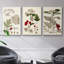 "Leaves And Berries I", reproduction sur toile 3 pièces-91887488-91887491