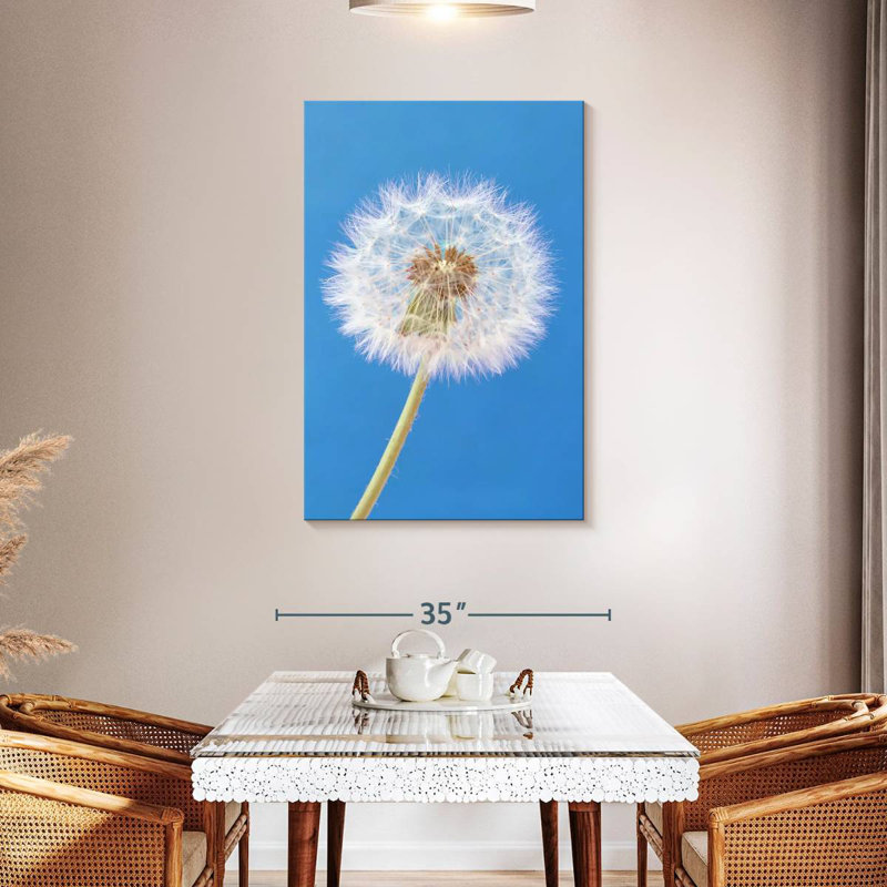 Dandelion Puffball