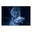 Jelly Fish Parade One Print-24074608