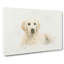 A Golden Retriever Puppy In Abstract - Wrapped Canvas Print-55300274