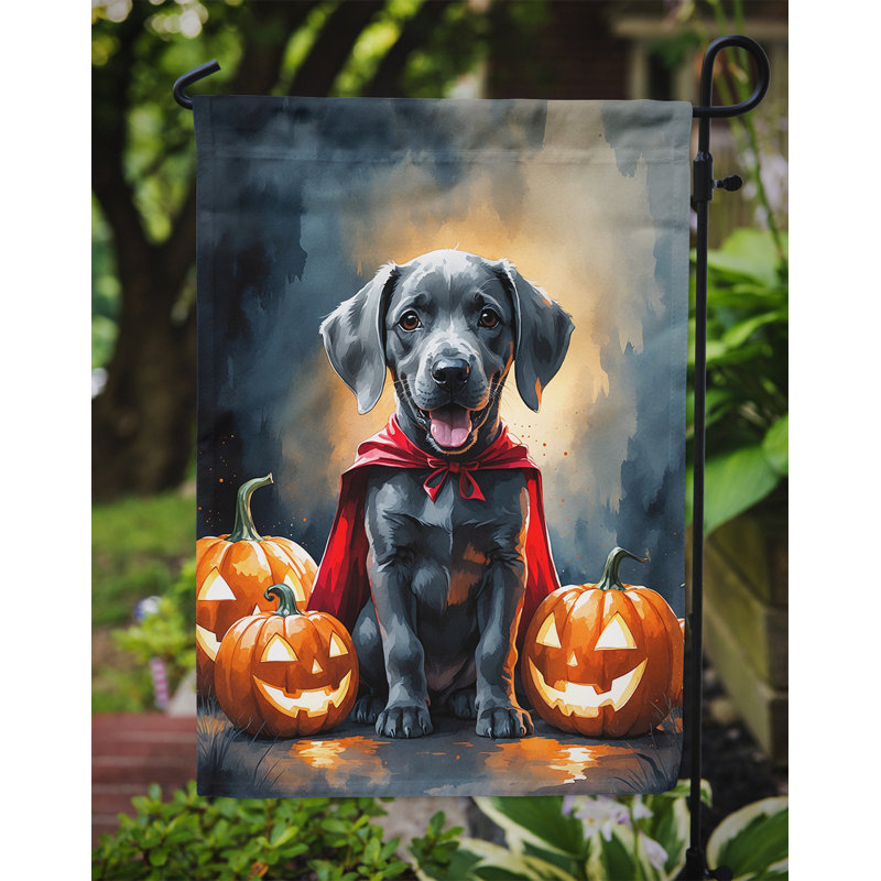 Drapeau de jardin chiot Halloween, Weimaraner