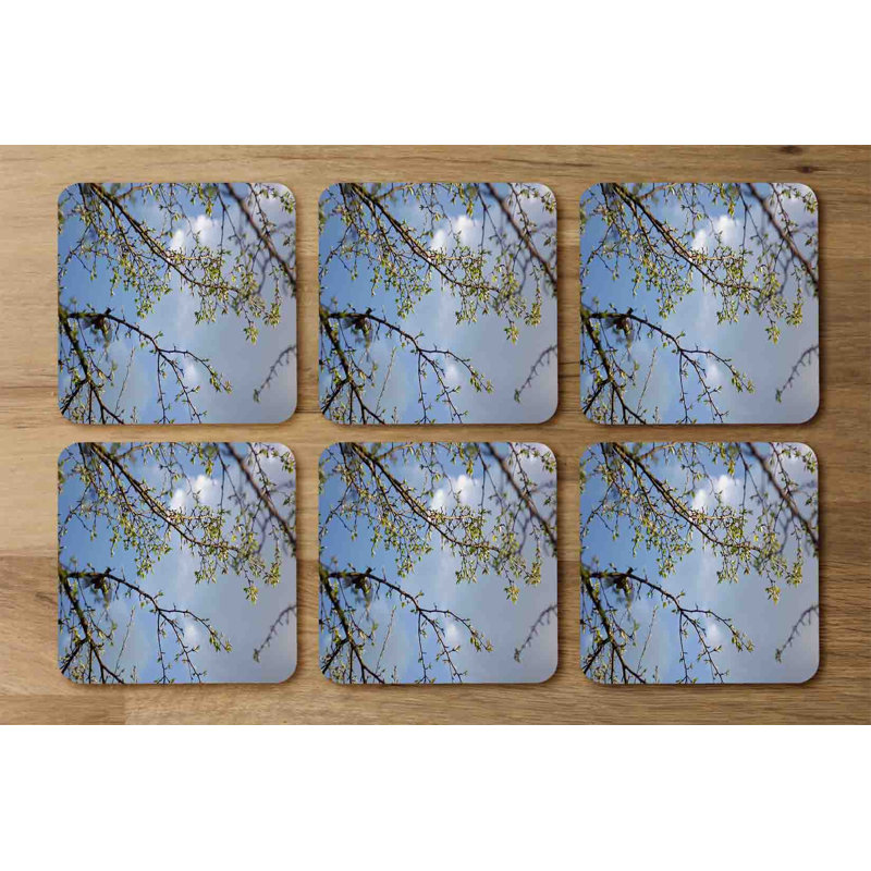 Benzonia Square 6 Piece Coaster Set