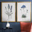 Lavande - ensemble de 2 reproductions d'impressions-467967537-467967546-467967545