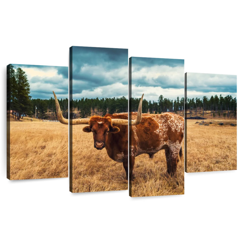 Brampt au Longhorn de Brampt au parc Custer, H 14 po x l 24 po
