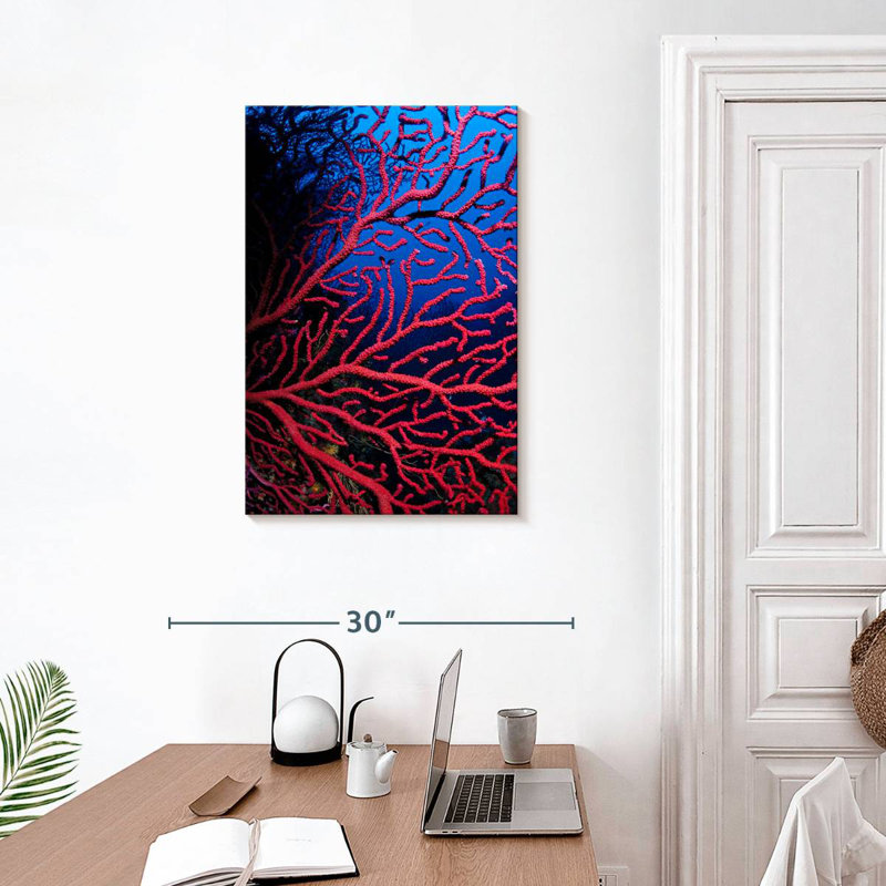 Brampt Violescent Sea Whip, 30" H x 20" W