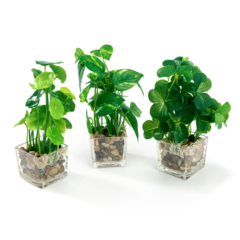 9.3'' Faux Foliage Plant in Glass Pot
