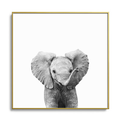 Bébé éléphant noir et blanc - photographie avec cadre photo sur verre
