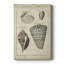 «Vintage Shell Study II», impression sur toile tendue-555870932