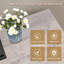 Alazik Unfinished with Fireplace Included-1792329365