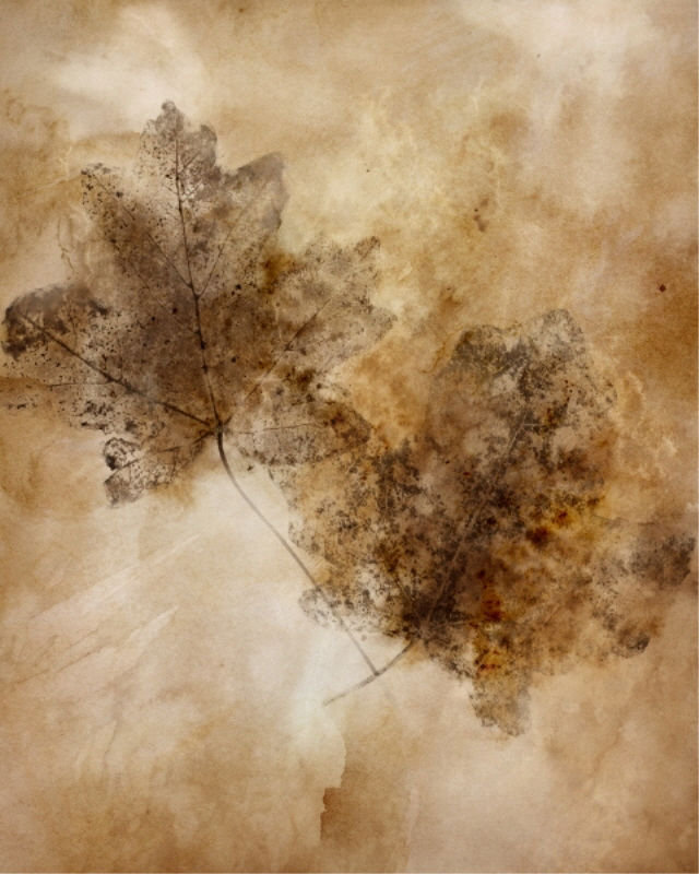 Autumnal Leaves " Autumnal Leaves III " by Mari Urasawa, Outdoor, 30" H x 24" W