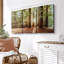 «Redwood with Sun Rays» sur toile-1136470214