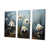 Toile tendue